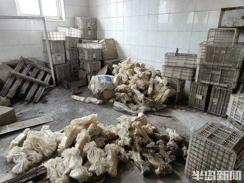 曾在青岛家喻户晓 知名品牌歇业 职工紧急求助 不应再 沉默