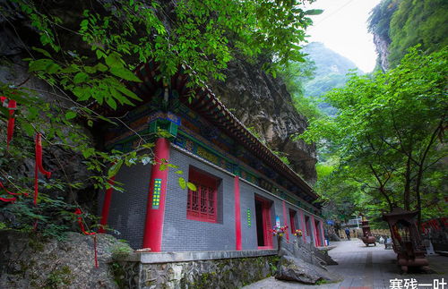 世界面积最大的植物园,有一片保存完好的原始森林,就在西安市郊