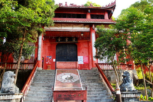 大师兄