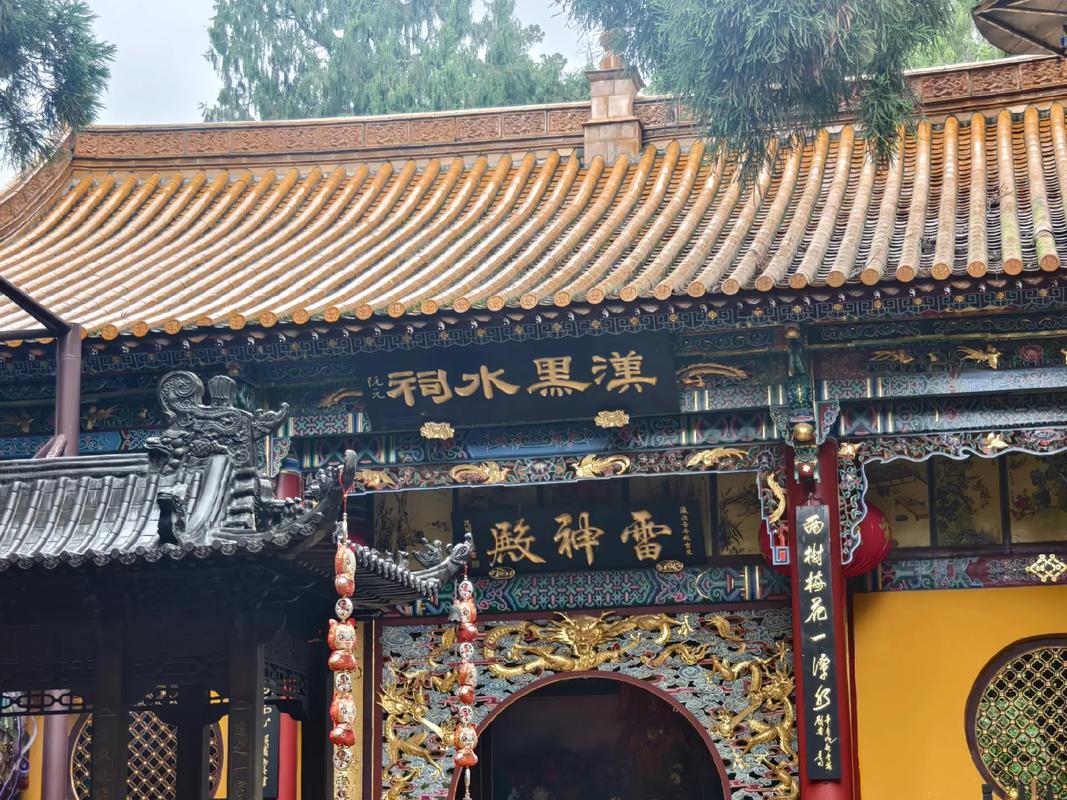 黑龙潭公园,龙泉观号称昆明最奢华的道观,古树可多了.#古建筑