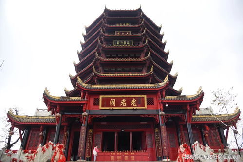 青城山 前山问道，后山度假，道观与民宿纷呈